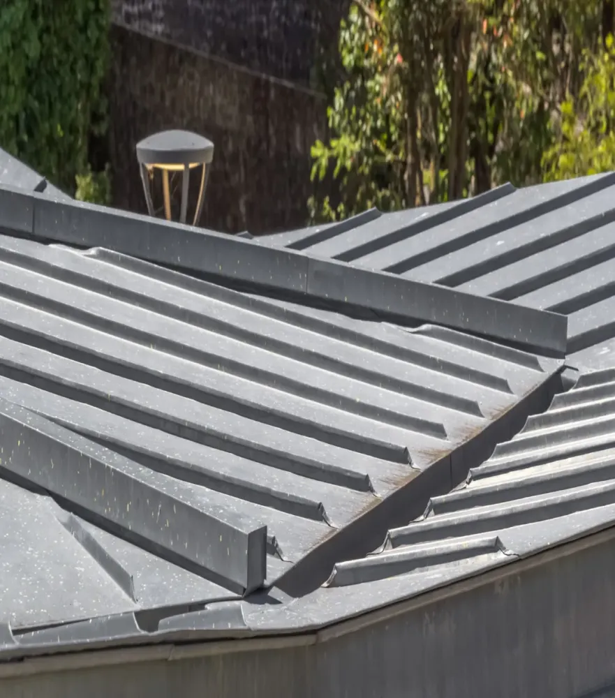 Toiture joint debout près de Cognin